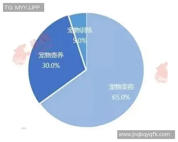 重庆篮球队力量表现数据分析揭示球队潜力与发展方向的深度探讨